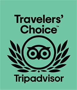 Trip Advisor Logo